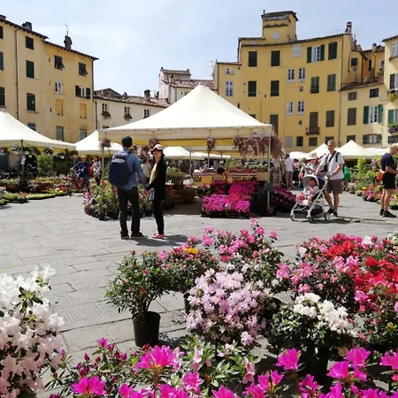 Gaia Apartment Lucca